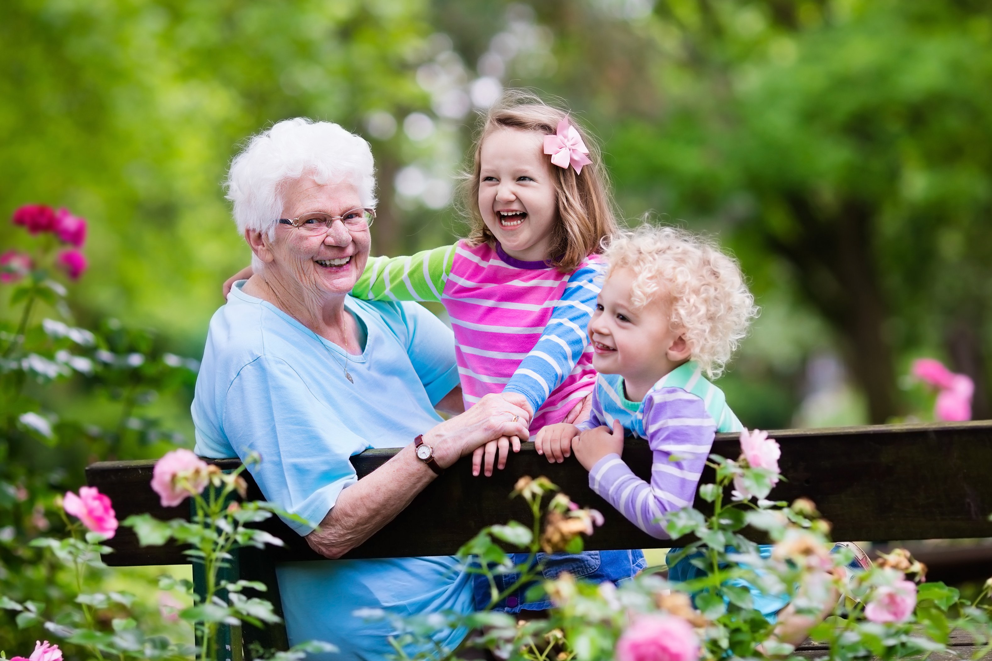 Bed rails for toddlers and seniors